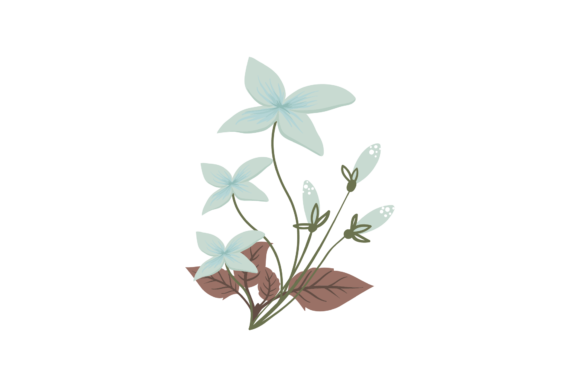 Floral Botanical Seamless Collection for Graphics and Illustrations