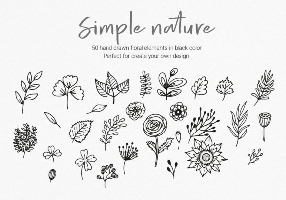 Hand Drawn Floral Clipart for Branding and Packaging