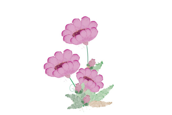 Watercolor Floral Illustration for Branding and Packaging